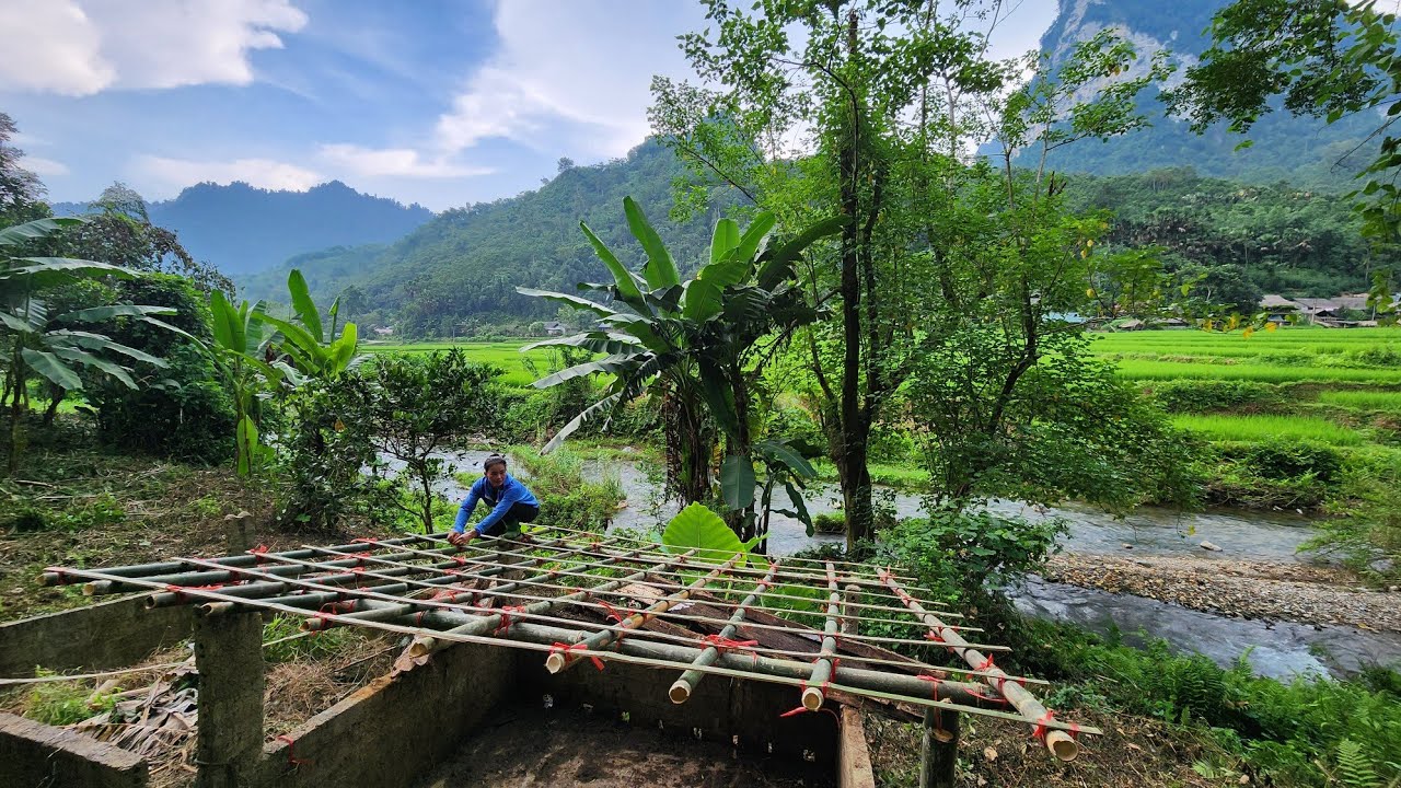 Cleaning up abandoned pigsty, cutting down bamboo to restore roof _ one day in girl's life
