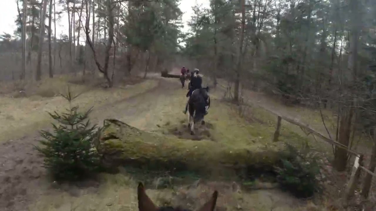 Verdener Frühjahrsjagd 2026 