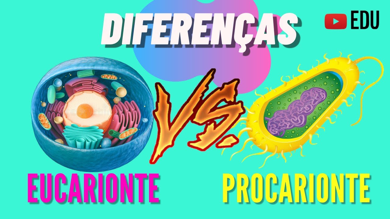C&Eacute;LULAS EUCARIONTES E PROCARIONTES - DIFEREN&Ccedil;AS | ANIMA&Ccedil;&Atilde;O