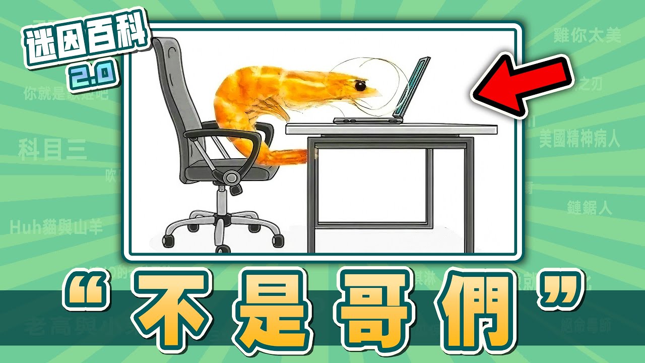 蝦子看電腦的梗圖在紅什麽⚡⚡⚡？&ldquo;不是哥們&rdquo;是什麽迷因？【迷因百科】#不是哥們 #蝦子看電腦 #特戰英豪 #Valorant #魔物獵人 #太刀俠 #Xqc #meme #迷因