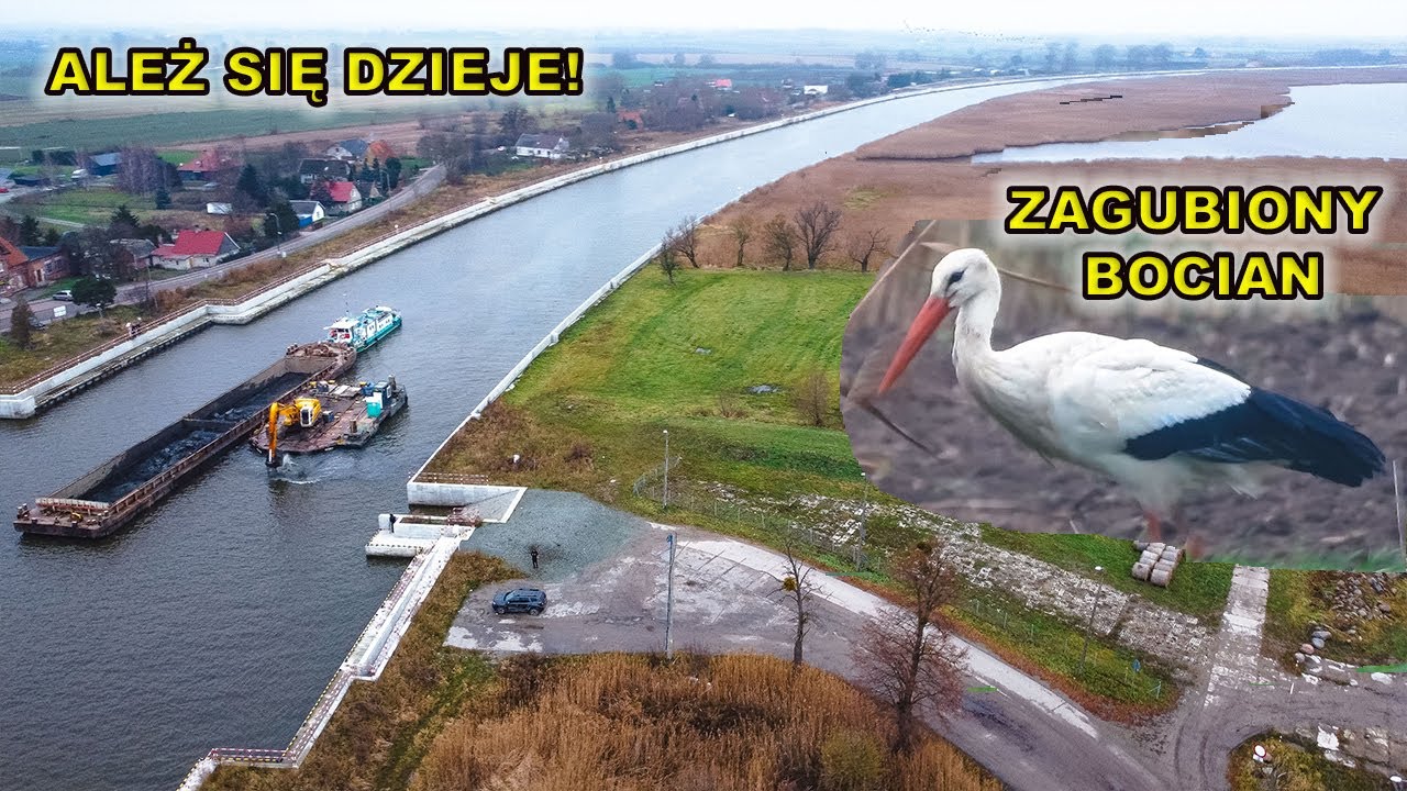 Ależ widok! Usuwanie dawnych umocnień rzeki Elbląg w Nowakowie.