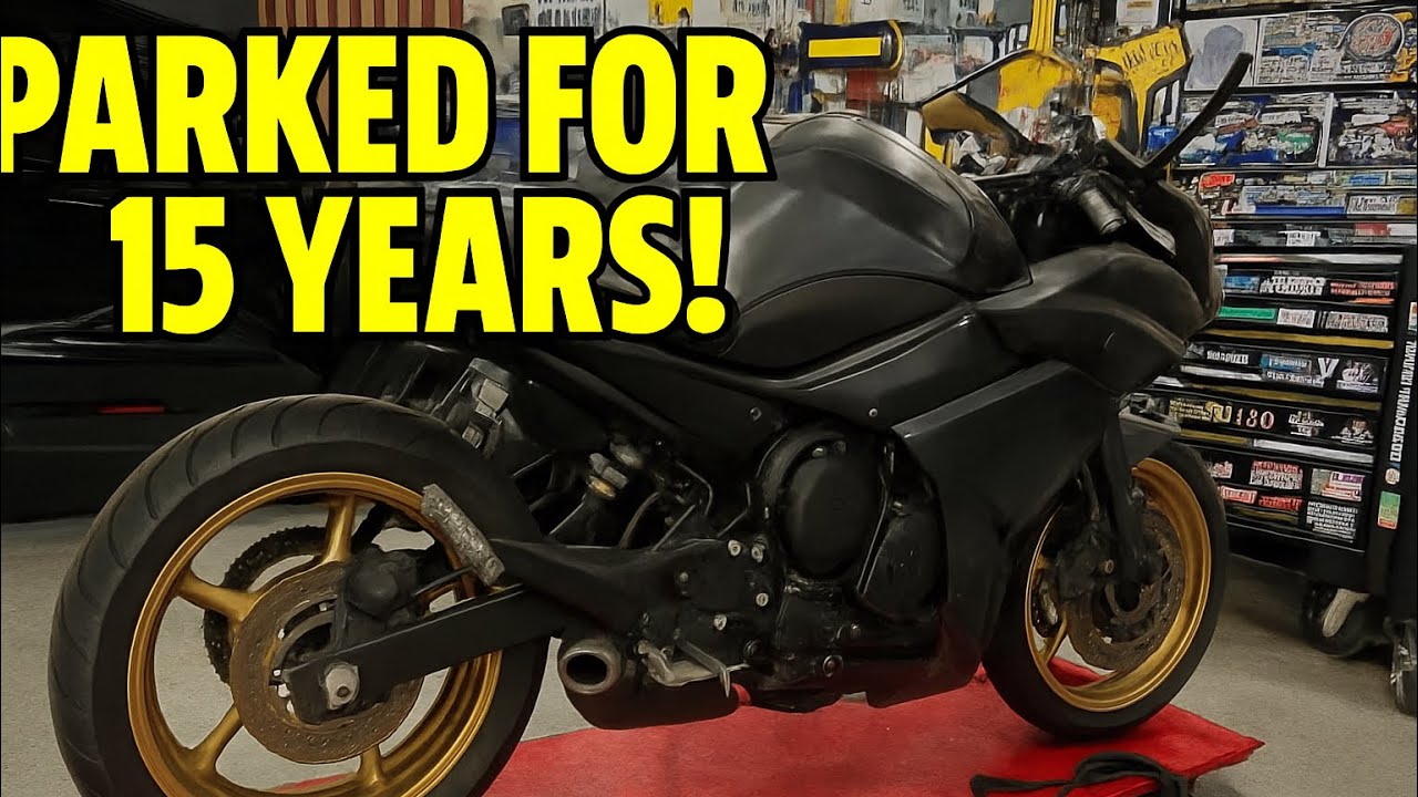 Заведётся ли эта Ямаха после 15 лет простоя? Yamaha FZ6R