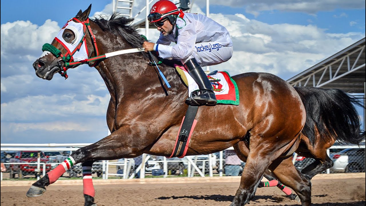 El General C. La Esperanza Vs El Jud&iacute;o C. El Lucero C4 | Satevo Race Trak Chihuahua Mex.