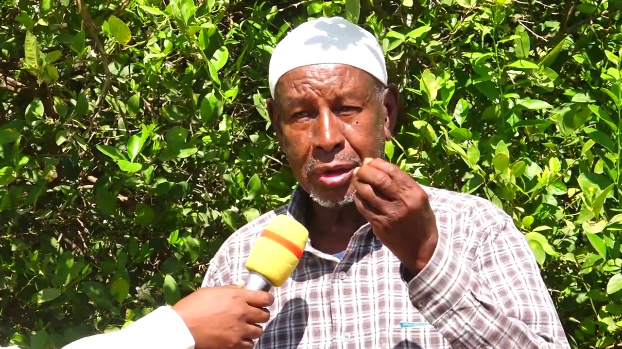Barnaamijka Beeraha Iyo Beeraha Wax soo saarka Arabsiyo [ Soo saare Abdiqadir Abdilahi nuur ]
