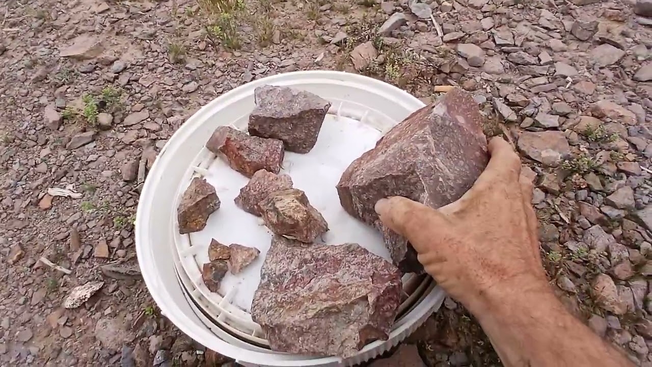 Roasting and crushing Gold Ore from My Claim 