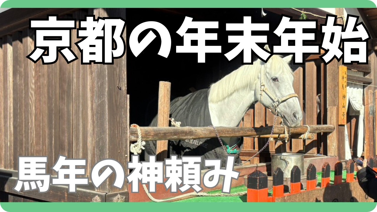 【神に頼るしかない2026】京都の神社仏閣に私の人生を託す！　#京都#京都観光 