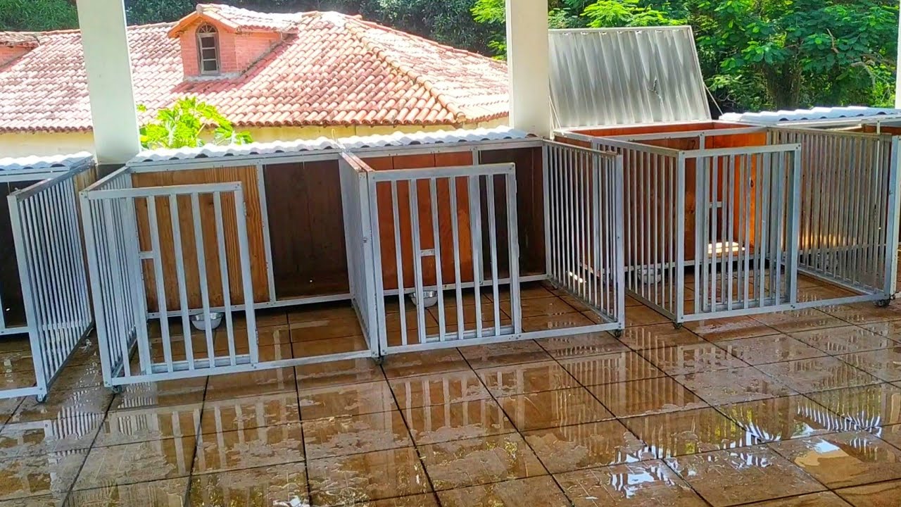 CONHECENDO O CANIL BBK RIO DE JANEIRO | Dragons Pit Kennel