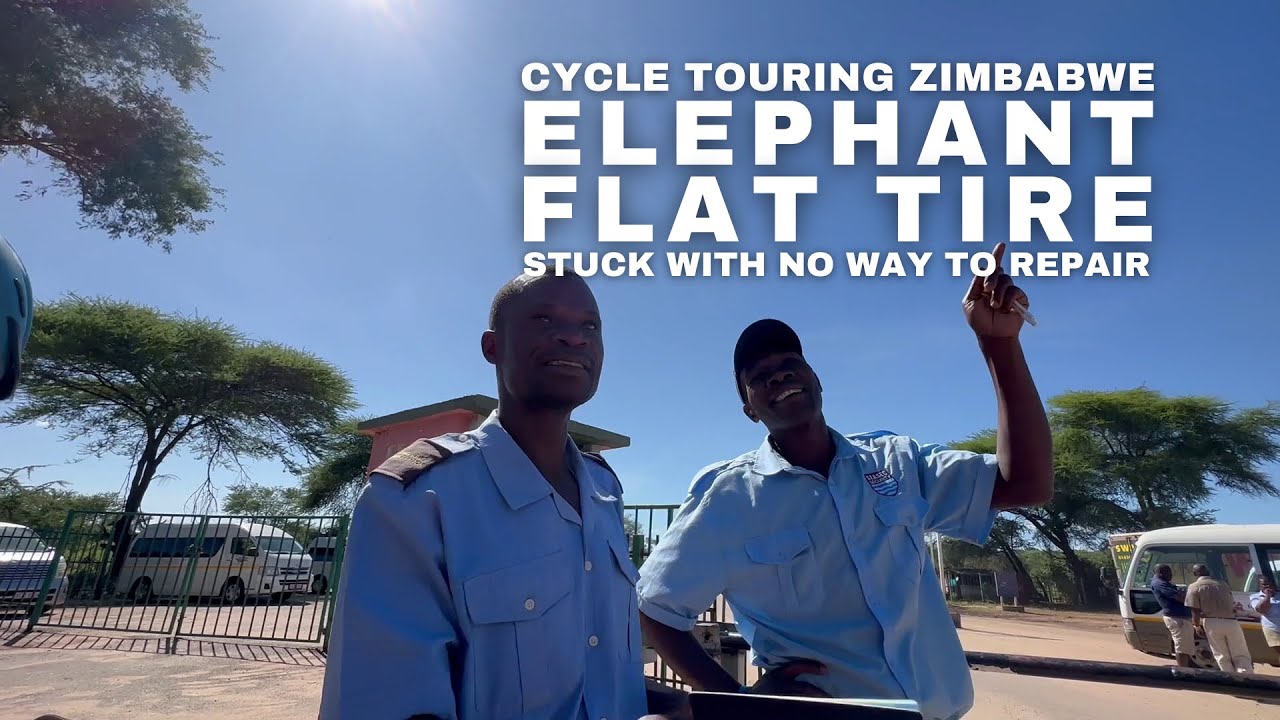 Bikepacking Adventure Gone Wild: Flat Tire in Lion Territory with No Way to Repair!