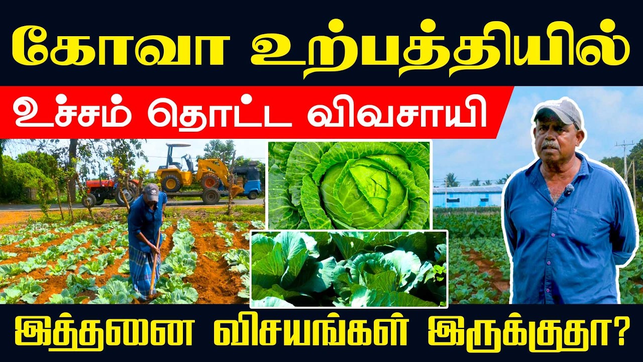 யாழ் விவசாயி கூறுகின்ற உண்மைகள் !! #Orvasani
