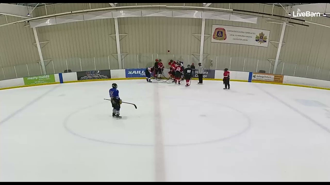 Beer League Hockey Fight