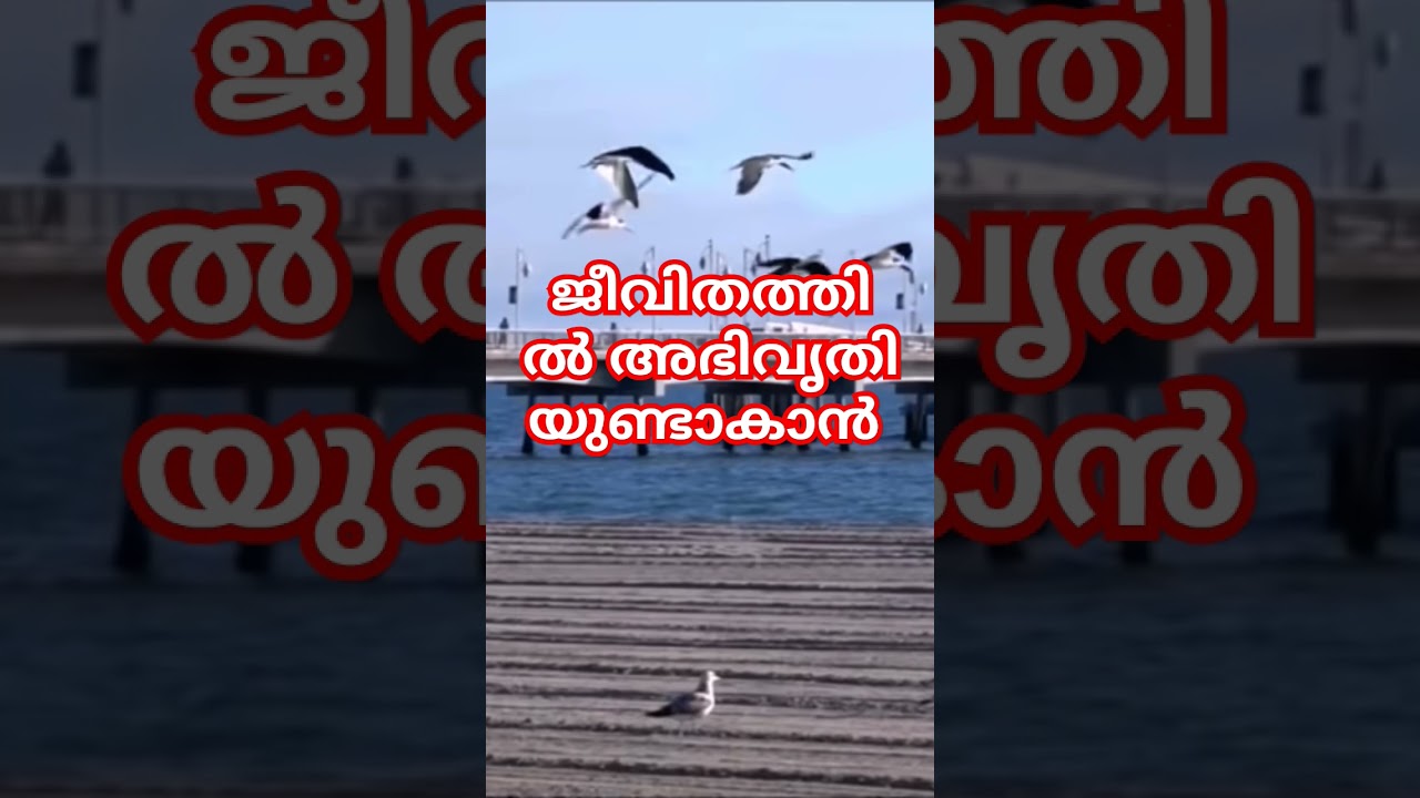 #sirajudeenqasimispeech#islamicspeechinmalayalam#shortfeed#shots