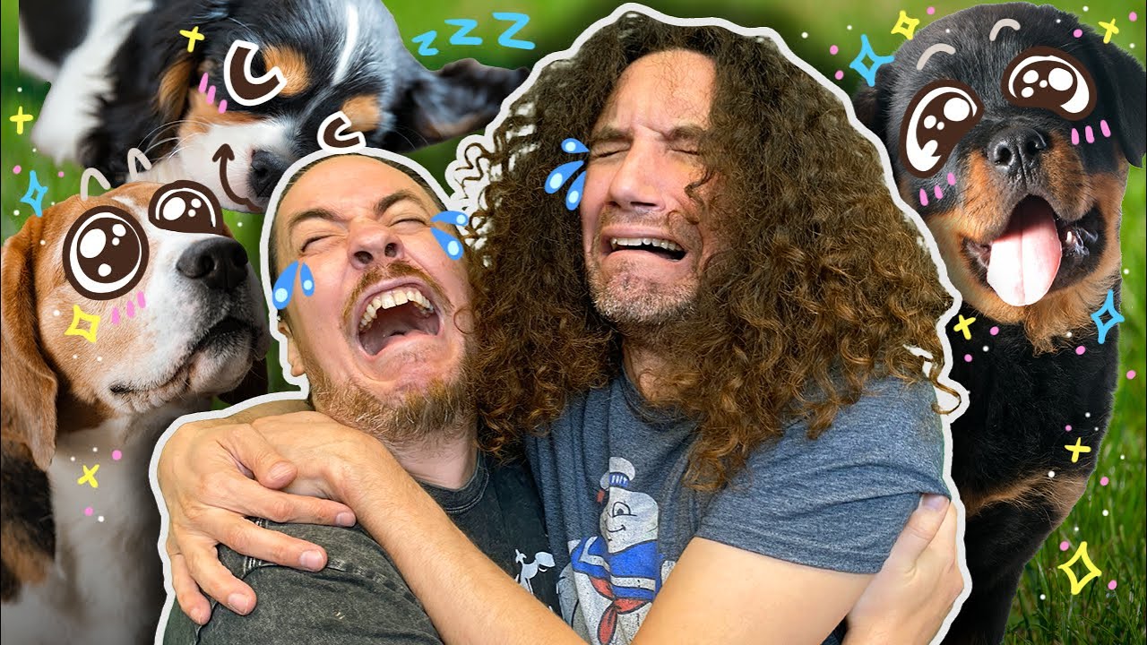 Two grown men sob over adopting puppies away | Animal Shelter Simulator