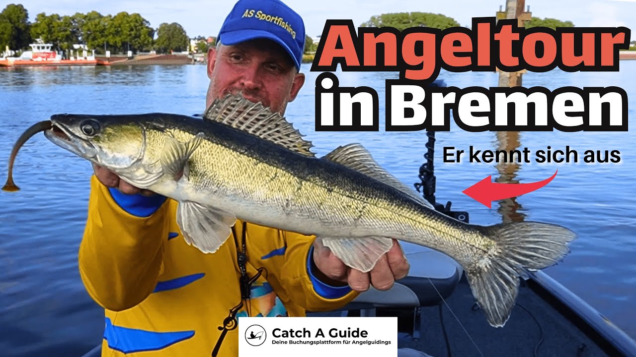 Angelguiding: ZANDERANGELN vom BOOT an der Weser in BREMEN