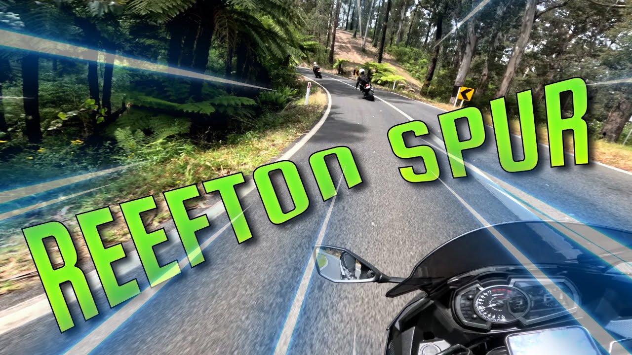 Reefton Spur Group Ride | The best road in Victoria?