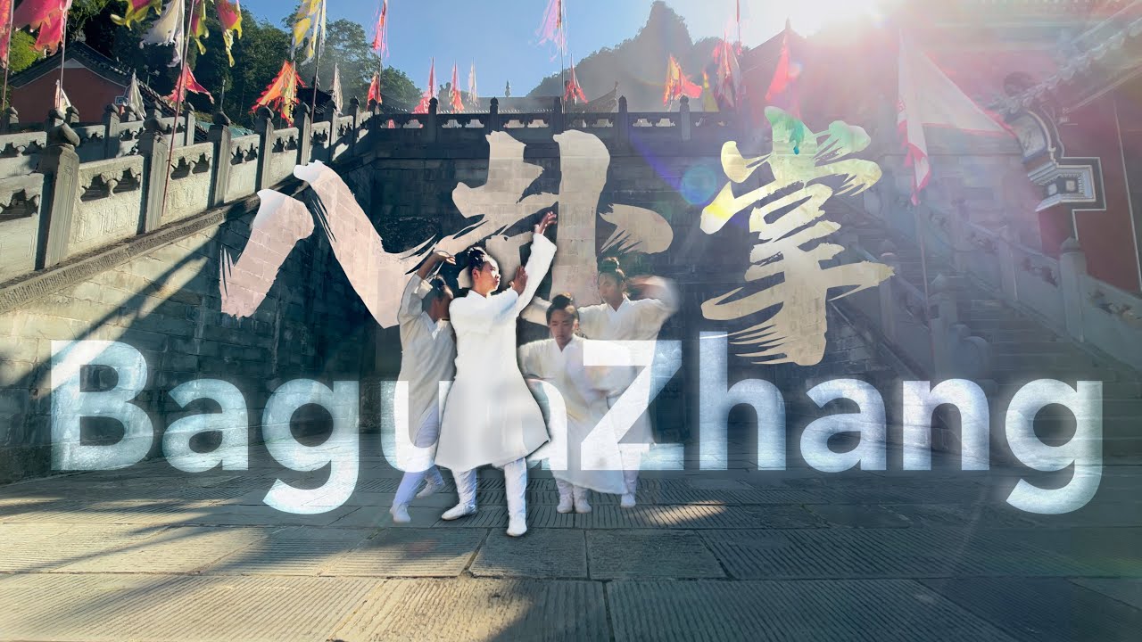 Wudang Baguazhang Jiang Xuanwupai style in Qiongtai Temple - By coach Weihua /武当玄武派姜八卦掌演微华教练