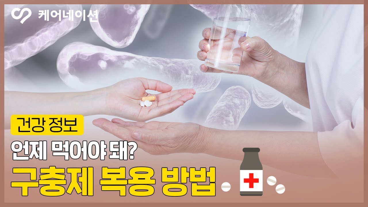 구충제 언제 먹어야 할까요? 구충제 복용 방법 | 케어네이션