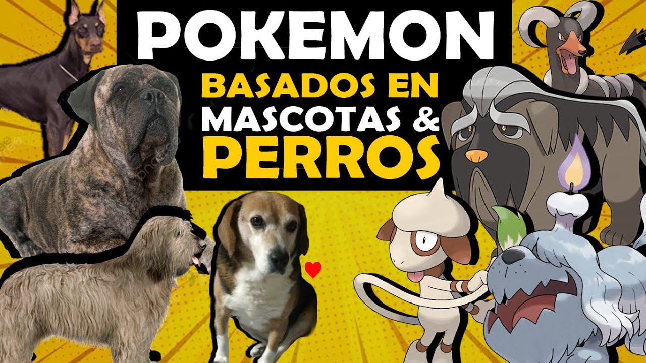 EXPLICANDO TODOS los POKÉMON BASADOS EN MASCOTAS (Perros & Gatos) / Mr. Jonfer