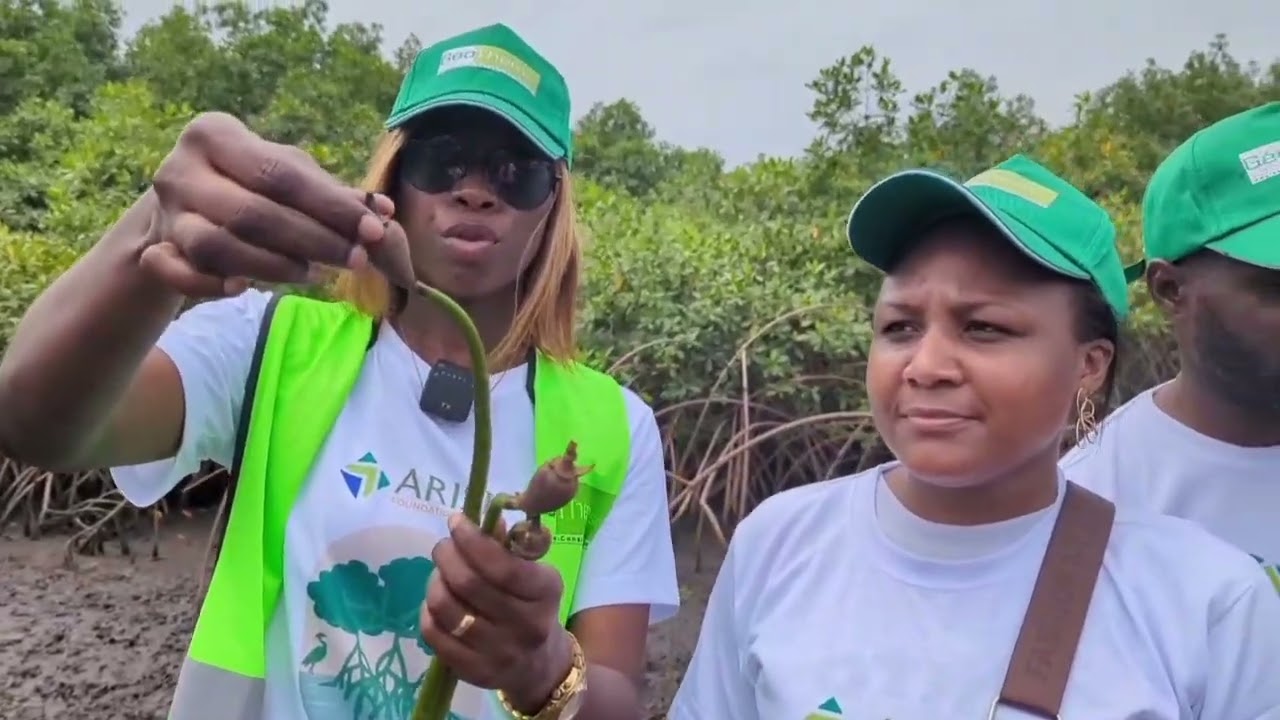 Avec Geothem l'environnement en confiance