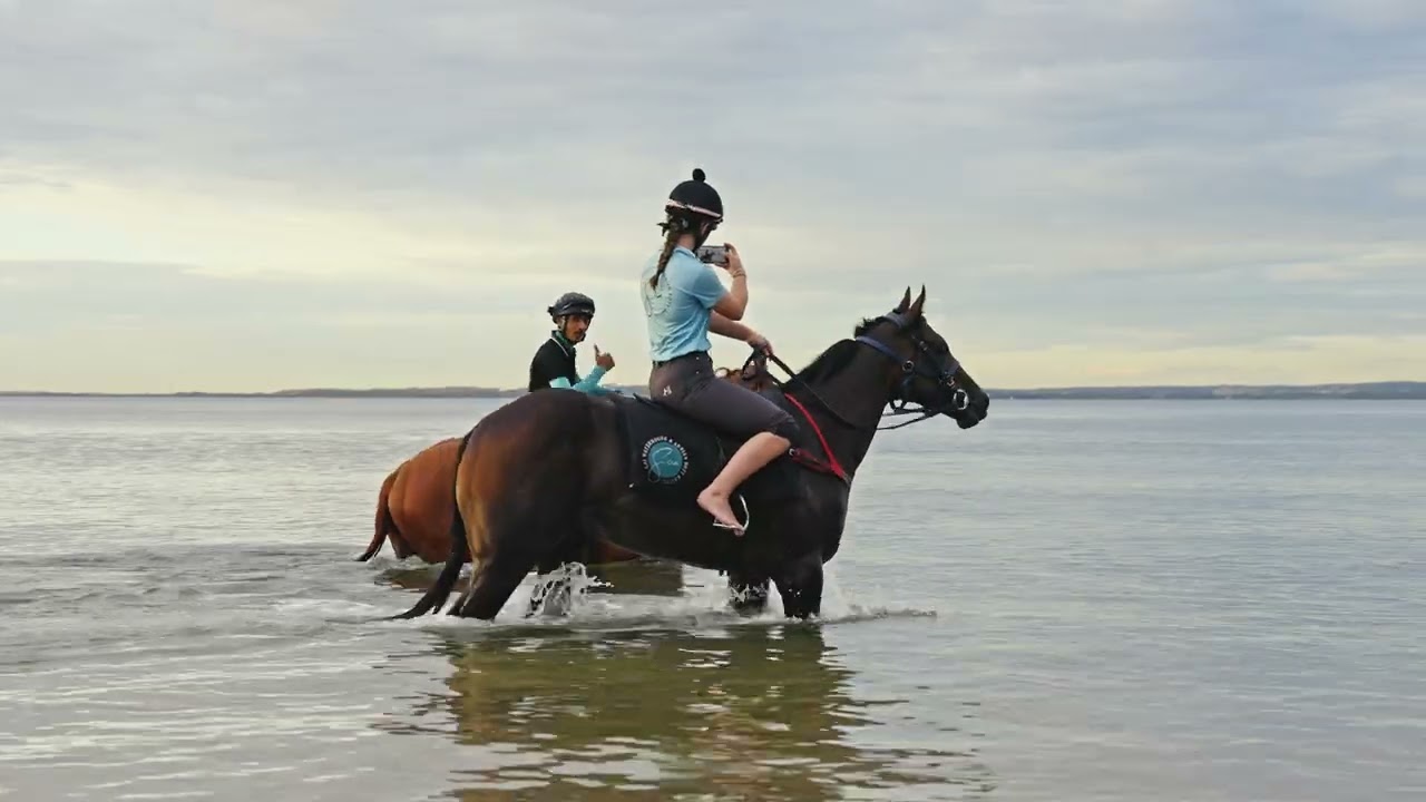 Morning at the Edge of Flight