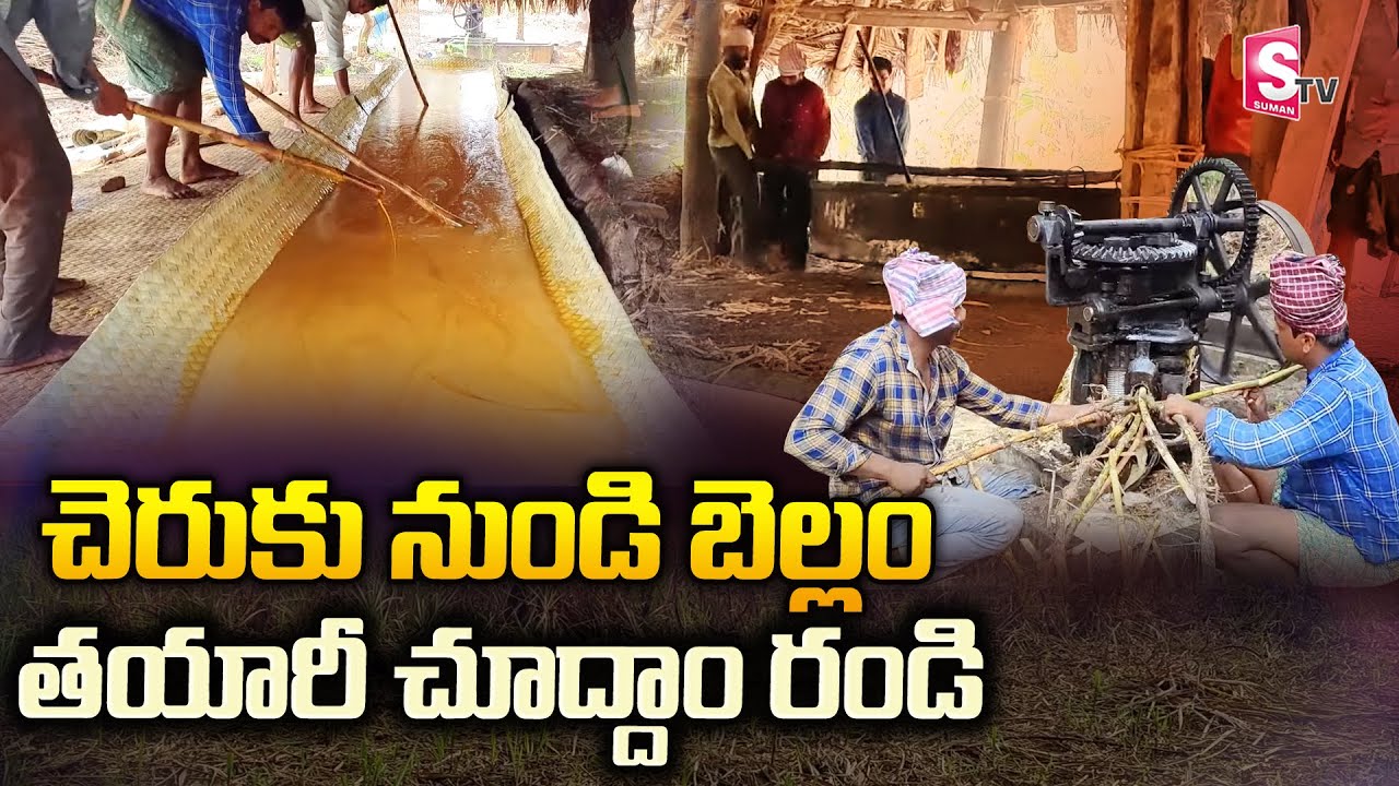 Yalamanchili Boorugupalli Village Jaggery Making Video | West Godavari | SumanTV