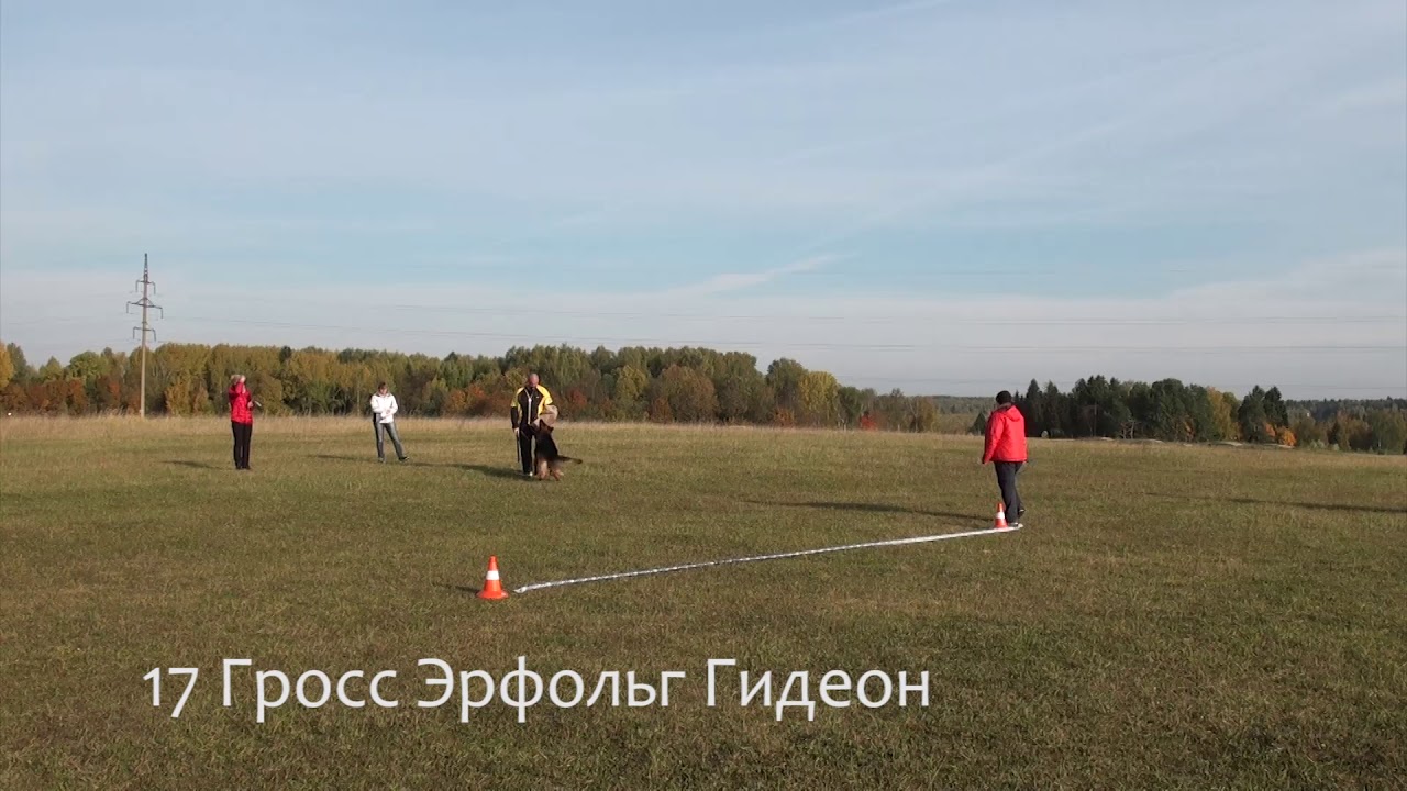17 Гросс Эрфольг Гидеон Брейвест (+++)