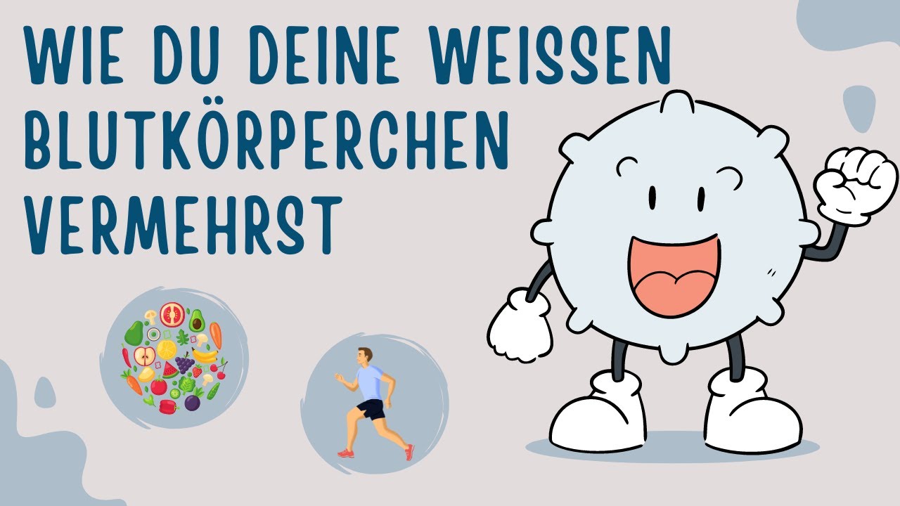 Wie du deine wei&szlig;en Blutk&ouml;rperchen vermehrst und so deine Abwehrkr&auml;fte st&auml;rkst