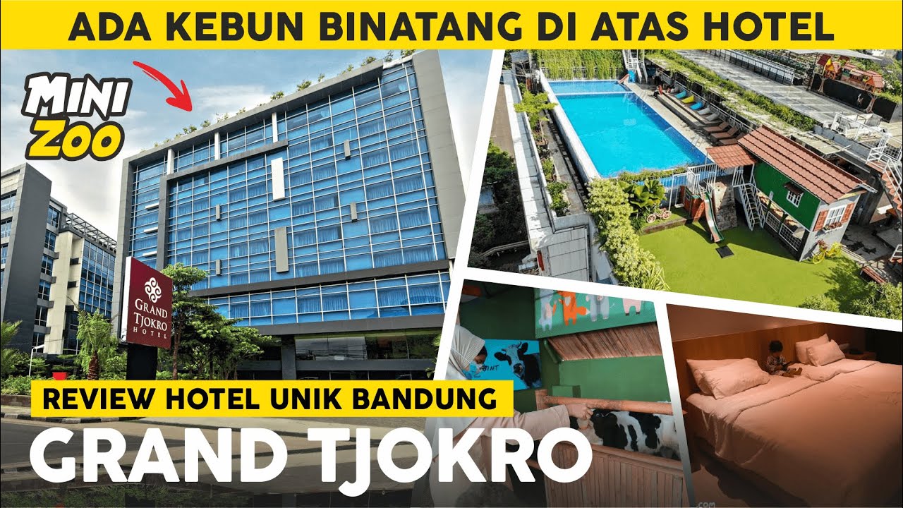 ADA KEBUN BINATANG DI ATAS HOTEL INI, ANAK-ANAK PASTI SUKA! | Review Hotel Grand Tjokro Bandung