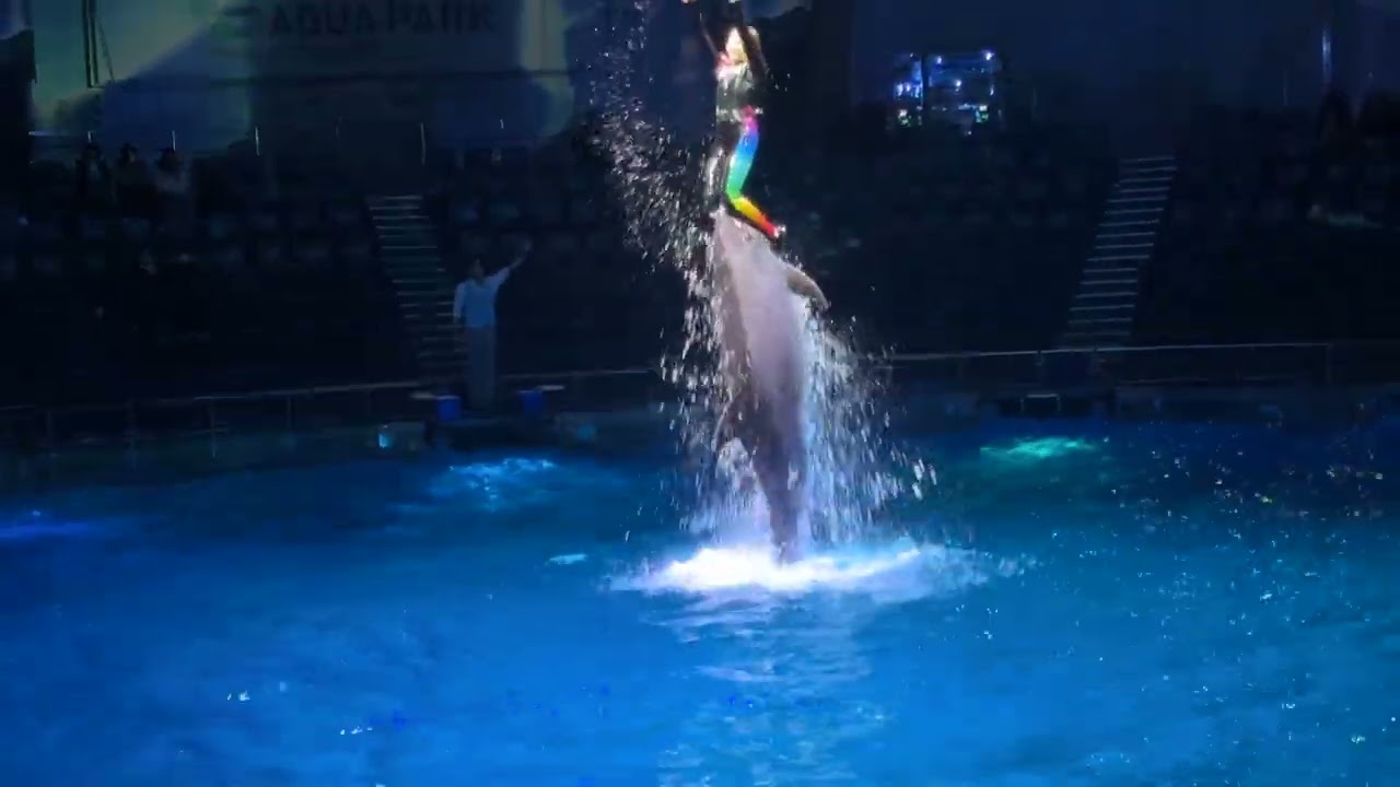 20260202品川室內水族館
