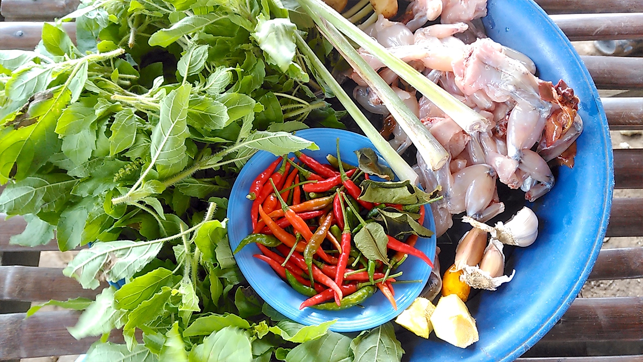 Country food, Fried Spicy FROG Recipes, Life of Natural Foods