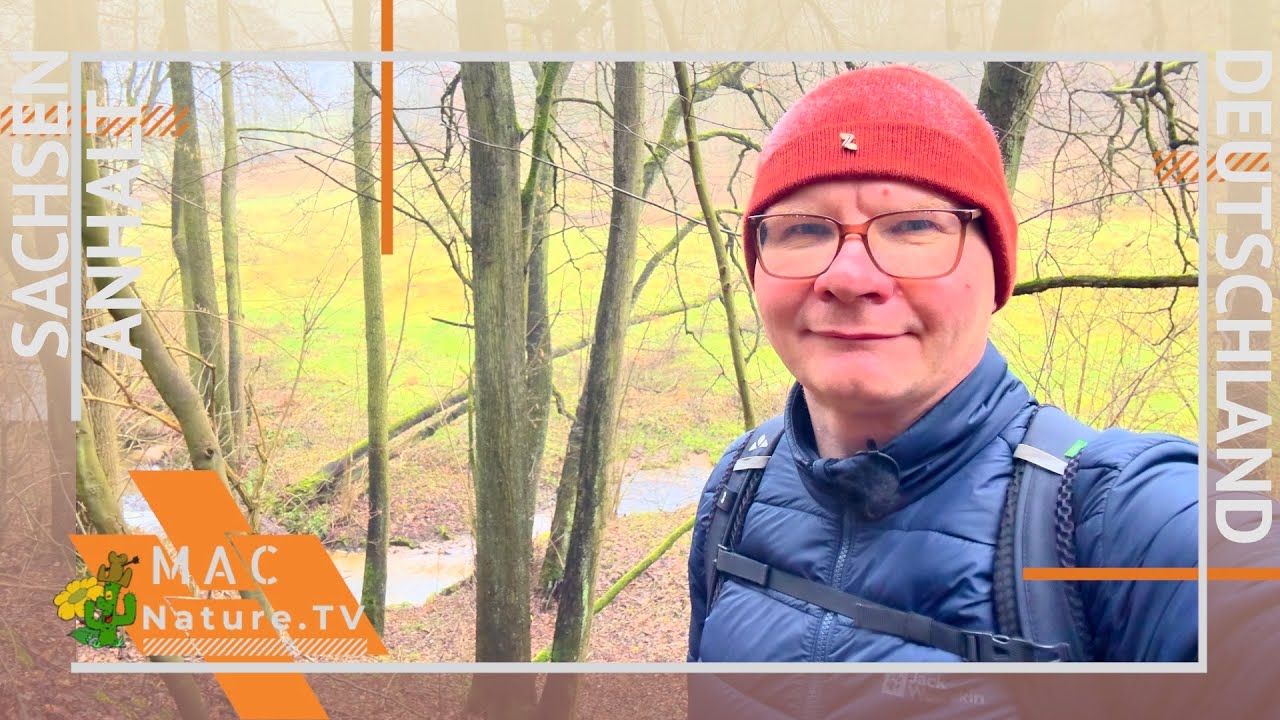 Bad Bibra - 2 Bäche Rundweg über Himmelsleiter