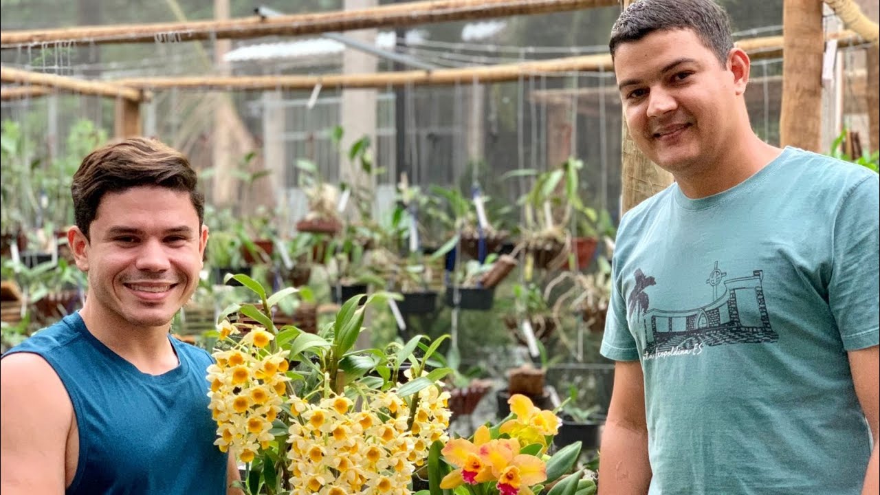 Visitei os ORQUIDÁRIOS de um amigo e achei INCRÍVEL!!! VEJA ISSO!!! 🌸👏
