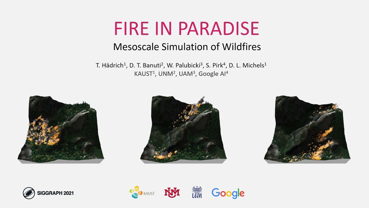 Fire in Paradise: Mesoscale Simulation of Wildfires (SIGGRAPH 2021) &ndash; Conference Presentation