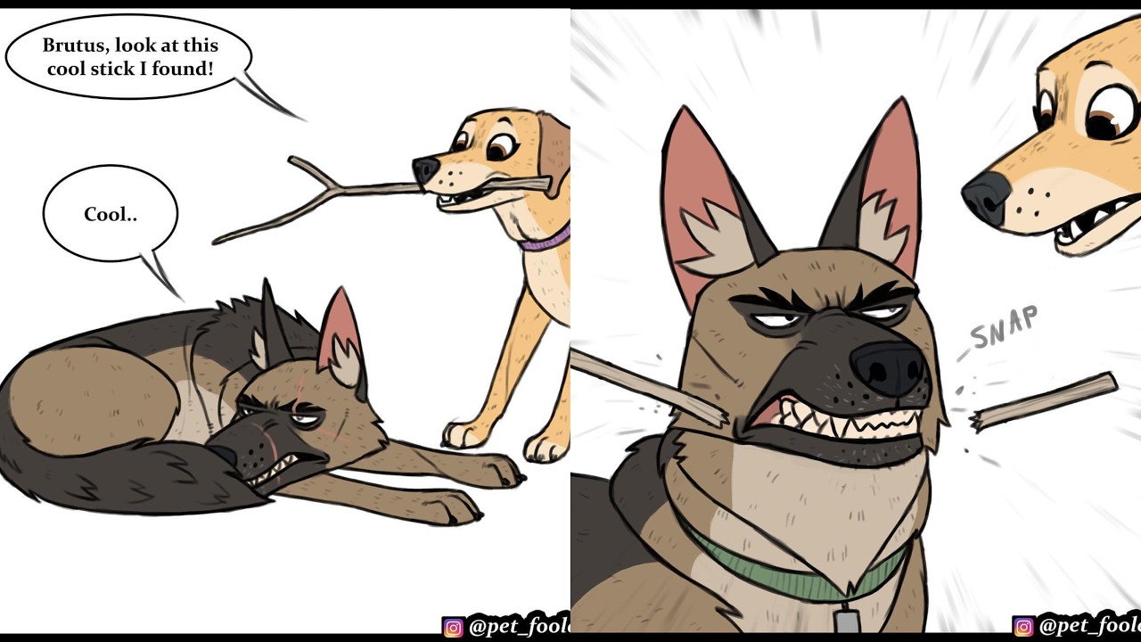 Pixie and Brutus Comic Dub Ft Lola