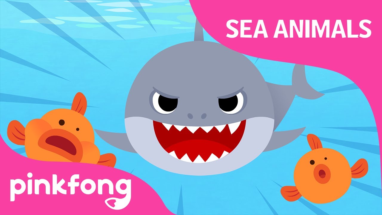 Doo doo doo Shark | Sea Animal Songs | Animal Songs | Pinkfong Songs for Children
