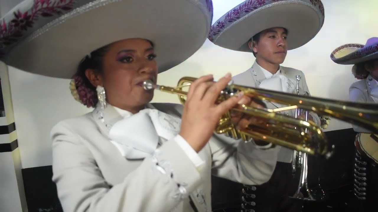 ALMA MEXICANA - a la sombra de mi madre