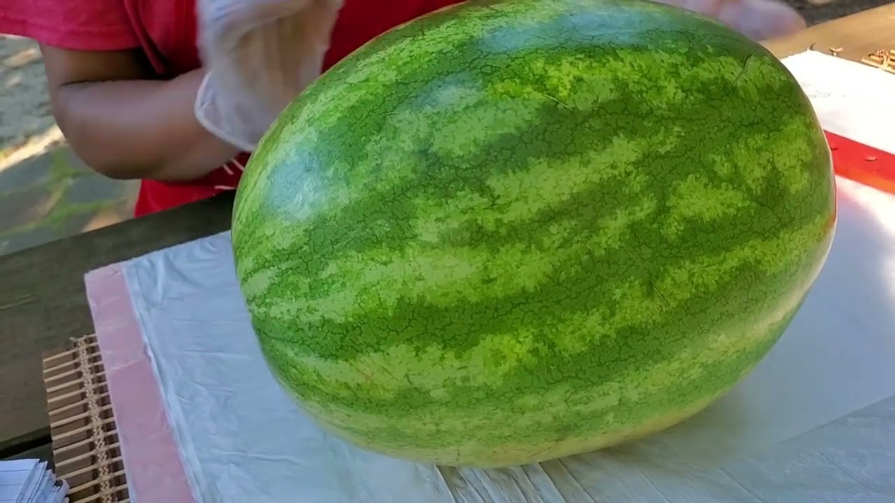 You'll Never Pick A Bad Watermelon Again After Watching this