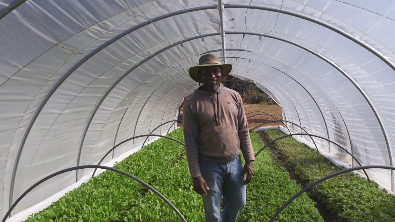 Flipping Beds of Baby Greens | Faithfull Farms