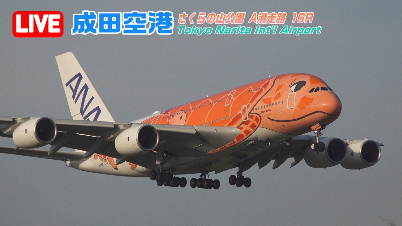 【LIVE】2026/02/22 Tokyo NARITA Int'l Airport Plane Spotting 成田空港ライブカメ