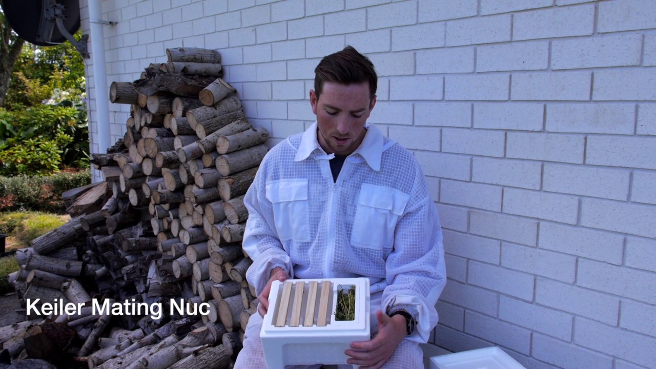 Beekeeping Basics with Thomas Clow - Kieler Mating Nuc Introduction
