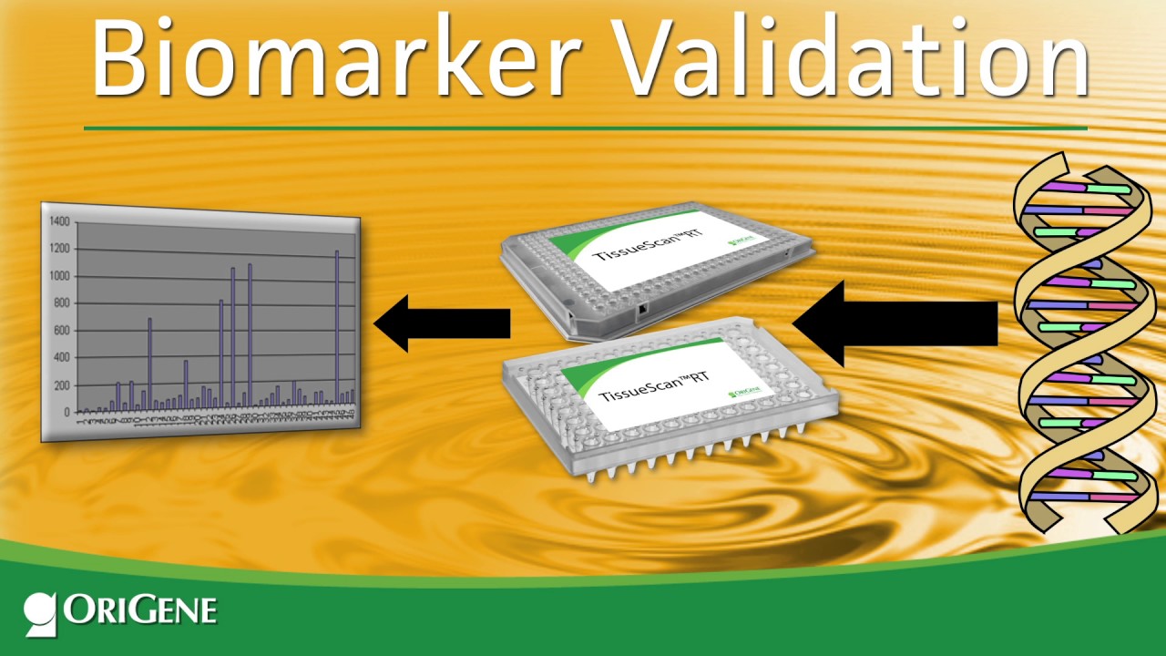 TissueScan: Gene expression Profile  in Cancer Tissues via qPCR