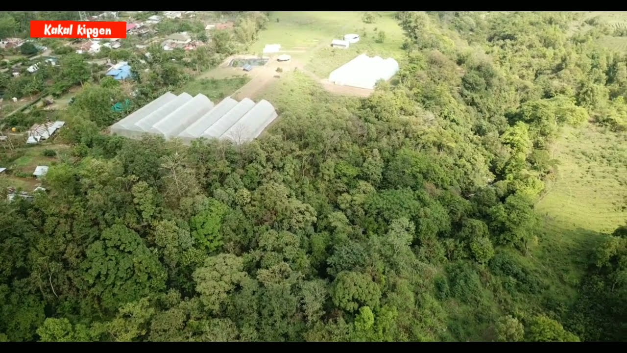 HAIPI VILLAGE, SADAR HILL DISTRICT MANIPUR, INDIA