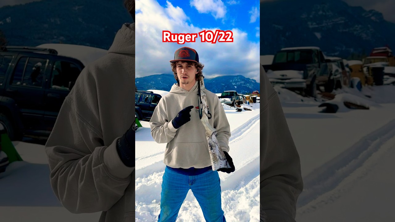Don&rsquo;t underestimate The Ruger 10/22