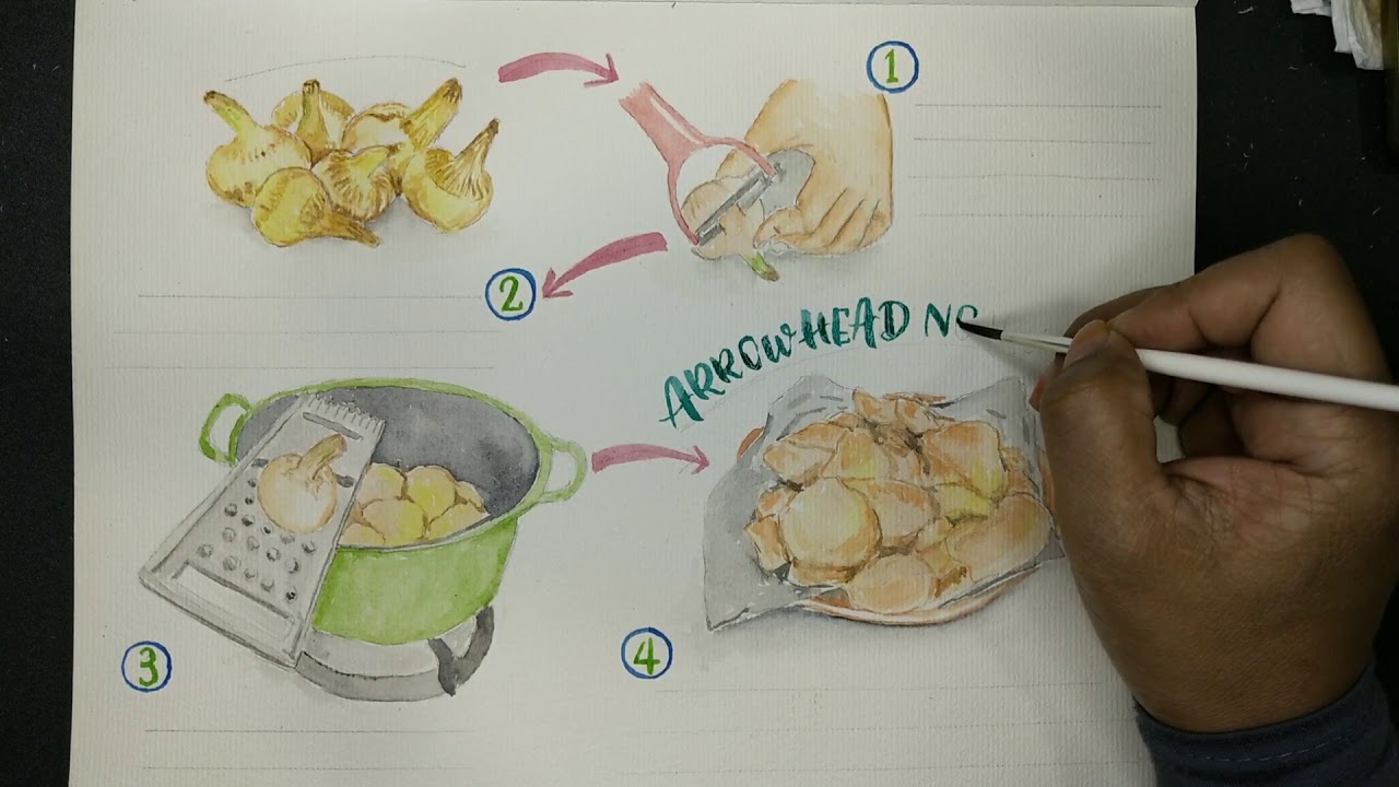 Arrowhead Ngaku Chip | Recipe art in watercolour