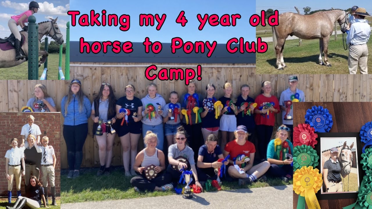 Taking my 4 year old horse to Pony Club Camp!