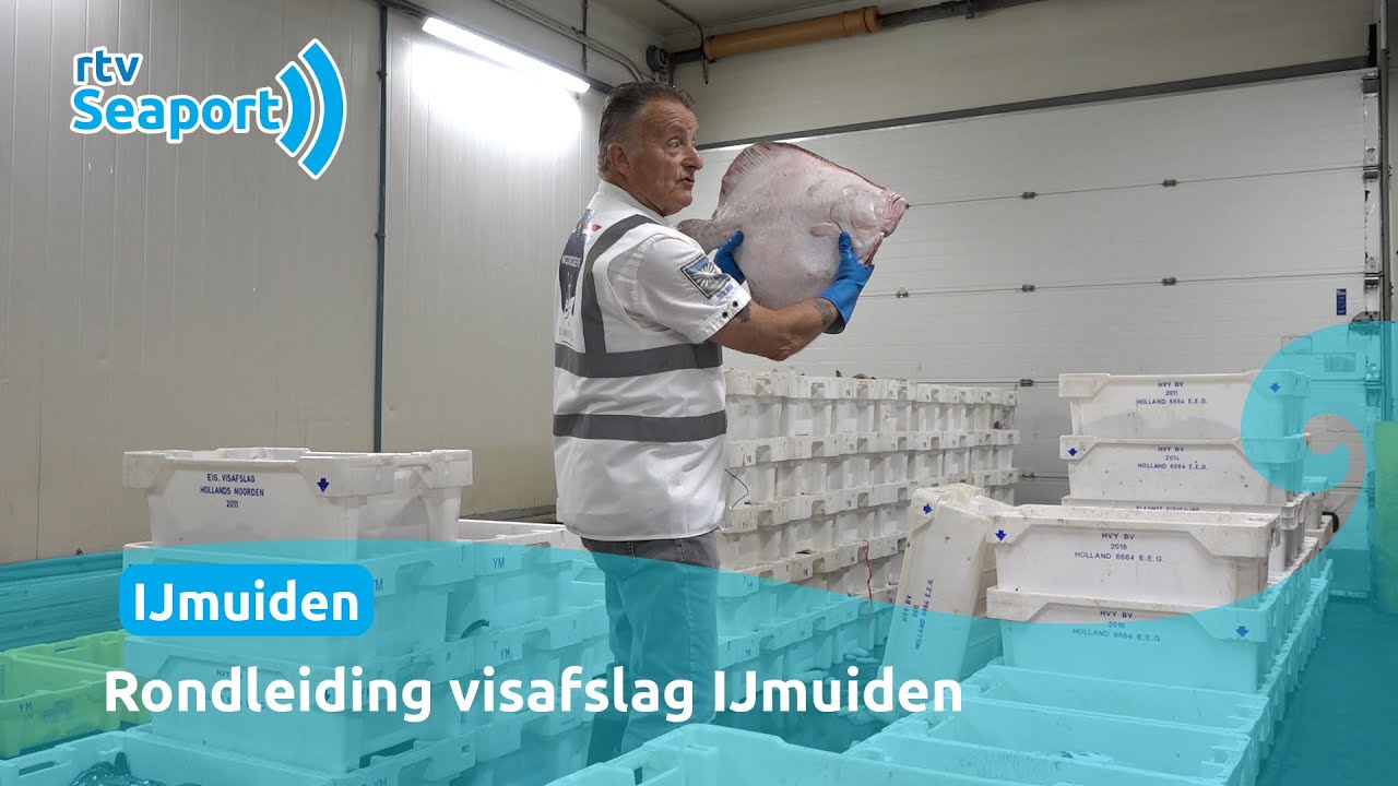 Neem een uniek kijkje achter schermen bij visafslag IJmuiden