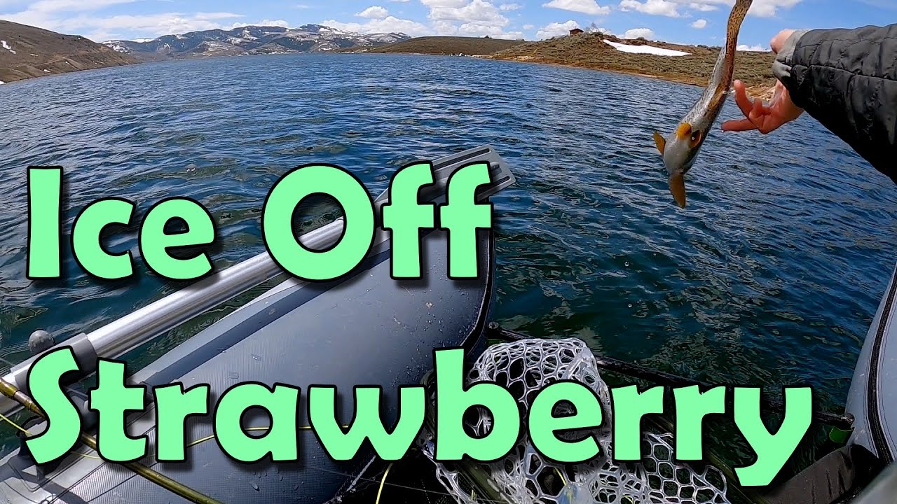 Strawberry Reservoir Ice Off 2025