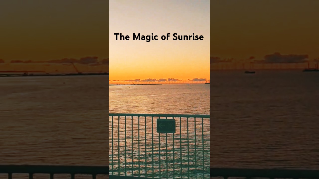 When the Sun Wakes Up ☀️ #sunrise #sunrisevideo #beautifulmorning #peaceful #relaxing #shorts