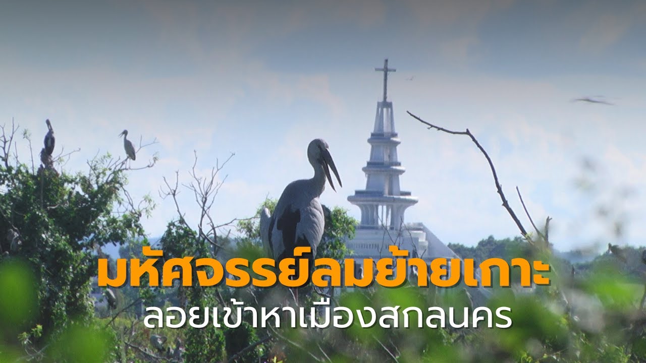 มหัศจรรย์ลมย้ายเกาะกลางหนองหาร ไหลเข้าติดเมืองสกลนคร