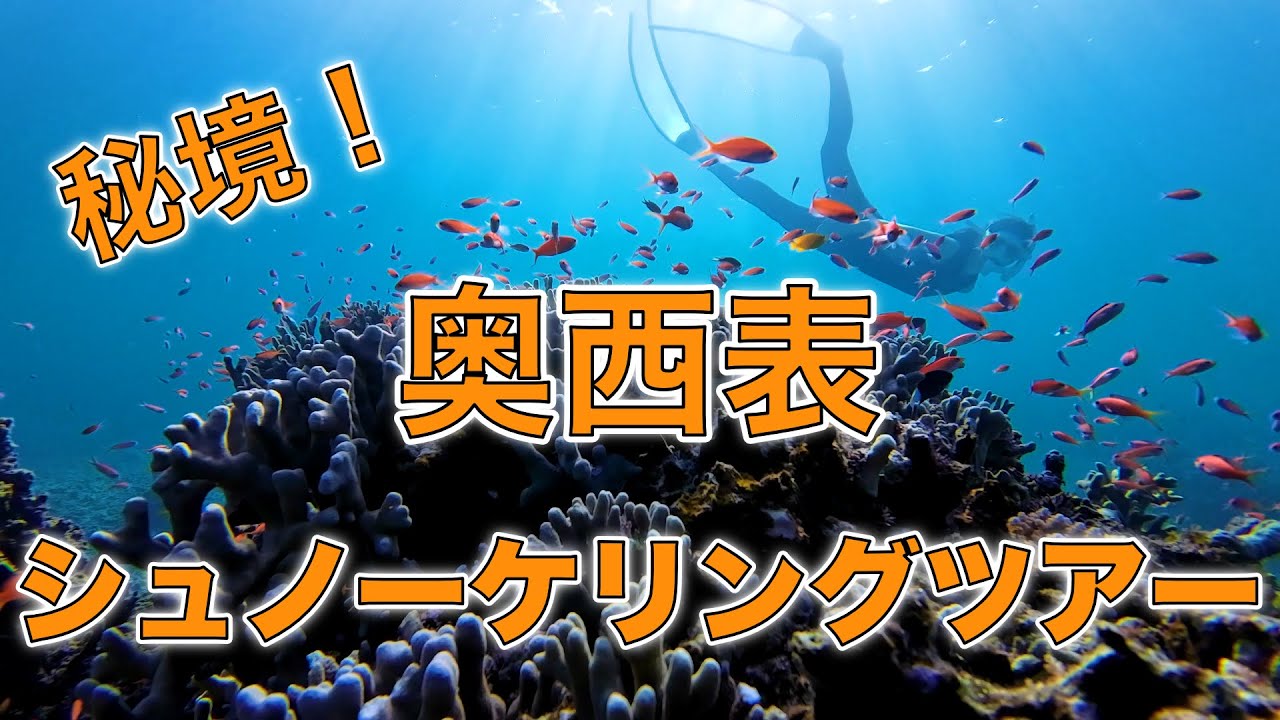 【西表島シュノーケリング】透明すぎる海がヤバすぎた❗️1日がっつりシュノーケリング‼️