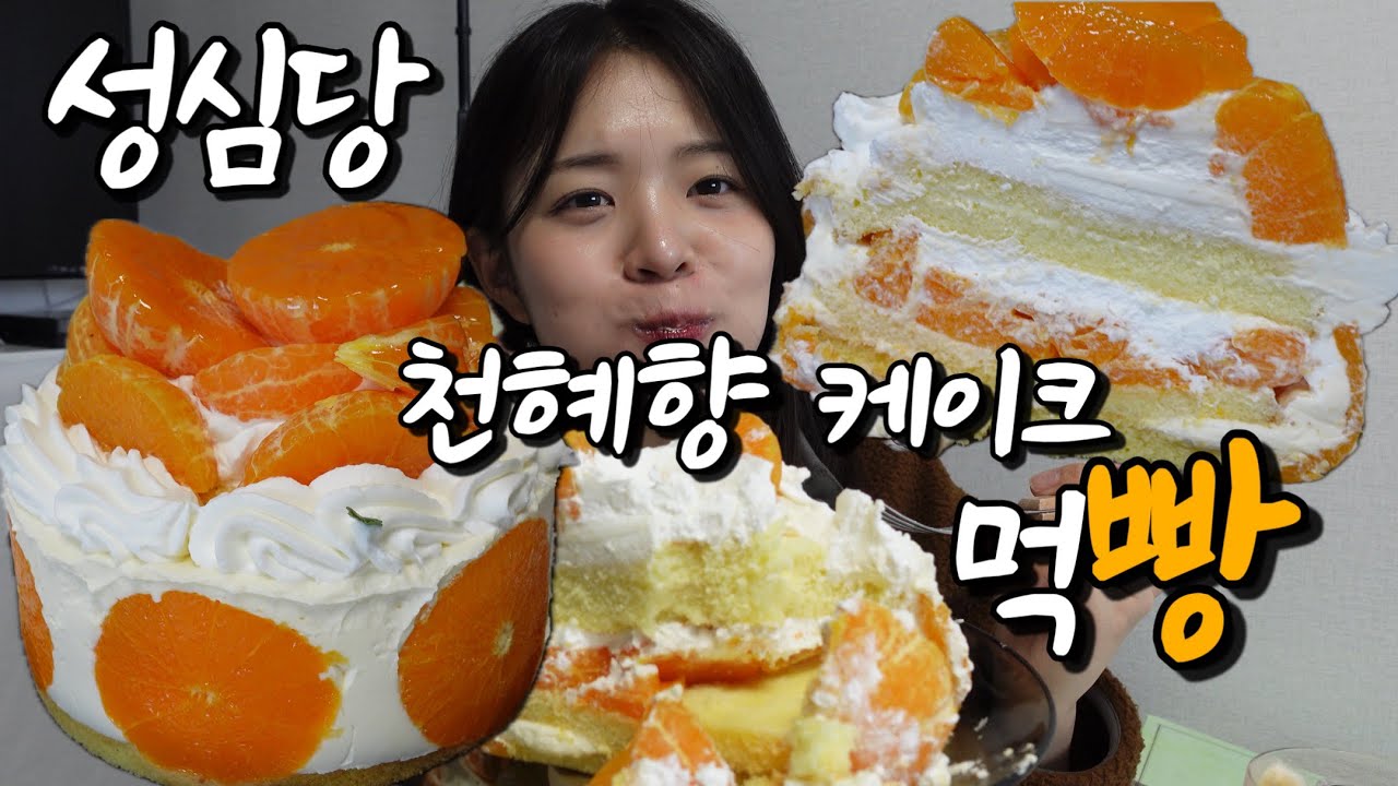 대전 현지인이 리뷰하는 성심당 케익부띠끄 신메뉴 | 천혜향 케이크 먹방 앤드 솔직리뷰 ~